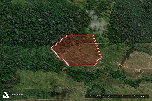 Imagem de satélite — Embargo IBAMA — Infração da Flora - Colniza/MT