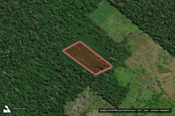 Imagem de satélite de Infração da Flora em São Luiz - RR