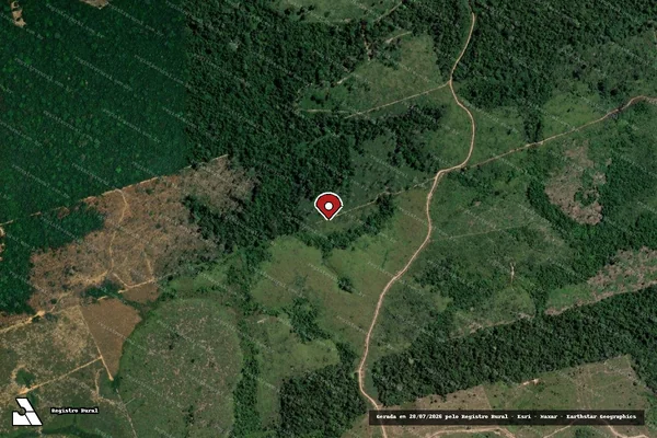 Imagem de satélite de Infração da Flora em Novo Progresso - PA (marcador da localização)