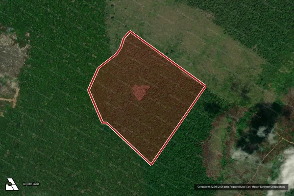 Imagem de satélite de Infração da Flora em Apuí - AM