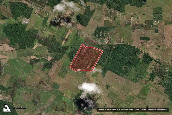 Imagem de satélite — Embargo Ambiental - Linhares/ES