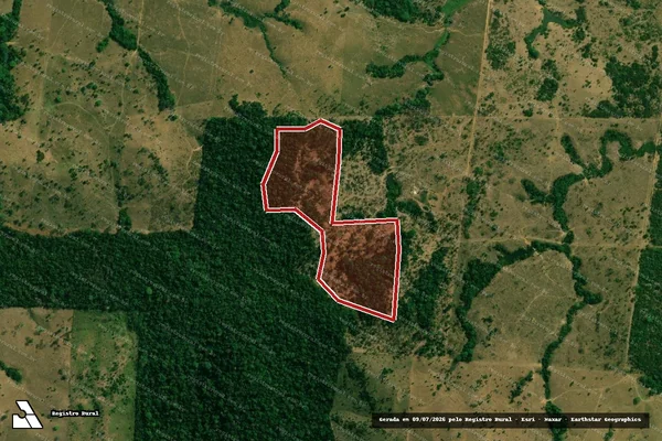Imagem de satélite de Infração da Flora em Buritis - RO