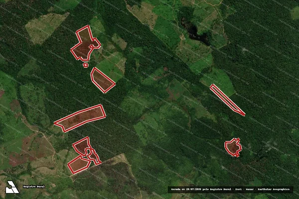 Imagem de satélite de Infração da Flora em Pacajá - PA