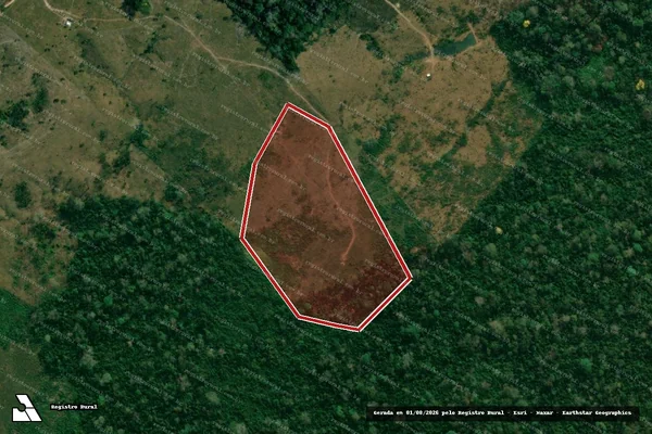 Imagem de satélite de Infração da Flora em Feijó - AC