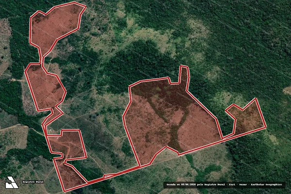 Imagem de satélite de Infração da Flora em Novo Progresso - PA
