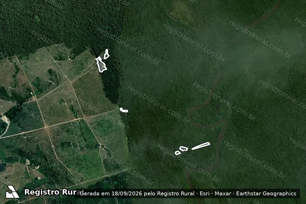 Imagem de satélite — Embargo IBAMA — Infração da Flora - Altamira/PA