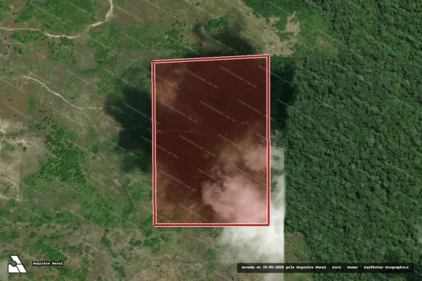 Imagem de satélite de Infração Ambiental em Caroebe - RR