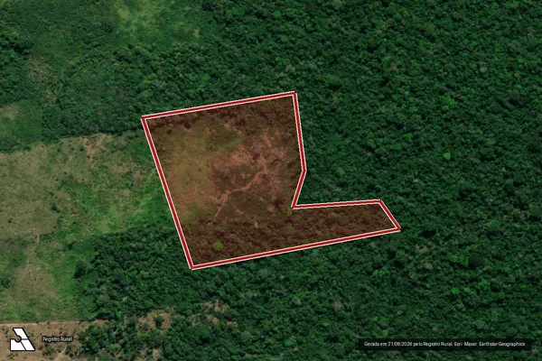 Imagem de satélite — Embargo IBAMA — Infração da Flora - Anapu/PA