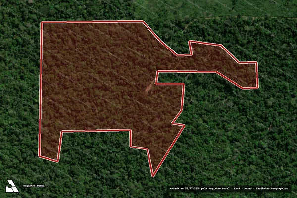 Imagem de satélite de Infração da Flora em Colniza - MT