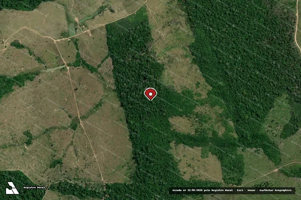 Imagem de satélite de Infração da Flora em Senador José Porfírio - PA (marcador da localização)