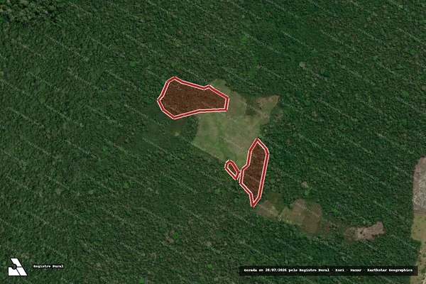 Imagem de satélite de Infração da Flora em Feijó - AC