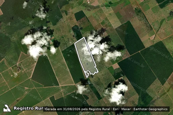 Imagem de satélite de Infração da Flora em Nova Lacerda - MT