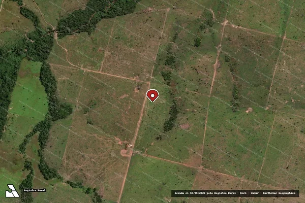 Imagem de satélite de Infração da Flora em Brasília - DF (marcador da localização)