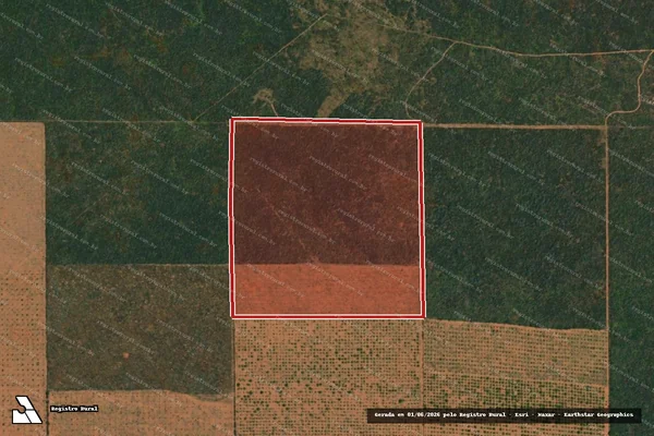 Imagem de satélite de Infração da Flora em Carnaubais - RN