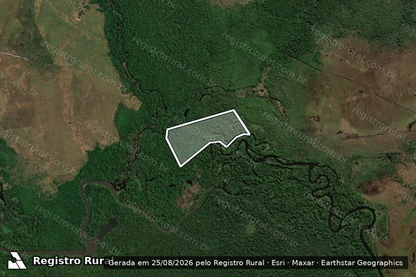 Imagem de satélite — Embargo IBAMA — Infração da Flora — Seringueiras/RO