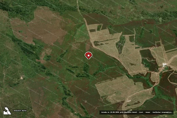 Imagem de satélite de Infração da Flora em Brasília - DF (marcador da localização)