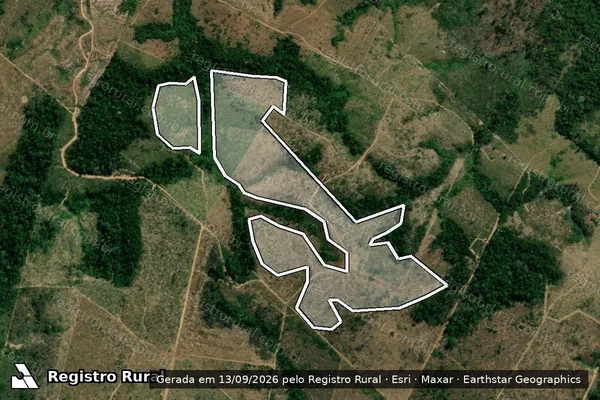 Imagem de satélite de Infração da Flora em Colniza - MT