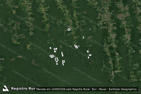 Imagem de satélite de Infração da Flora em Rurópolis - PA