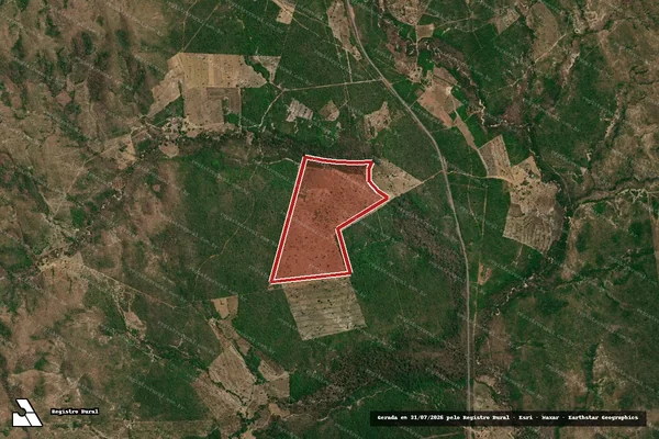 Imagem de satélite de Infração da Flora em Paranã - TO