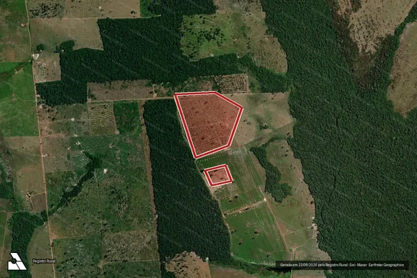 Imagem de satélite de Infração da Flora em São Francisco do Guaporé - RO