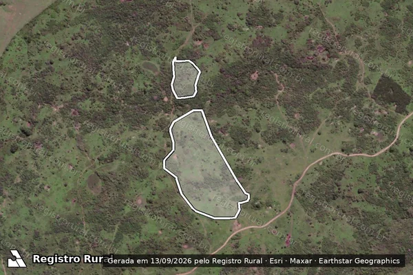 Imagem de satélite de Infração da Flora em Porto Real do Colégio - AL