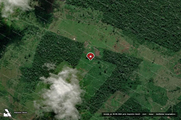 Imagem de satélite de Infração da Flora em Anapu - PA (marcador da localização)