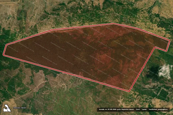 Imagem de satélite — Embargo Ambiental — Bannach/PA