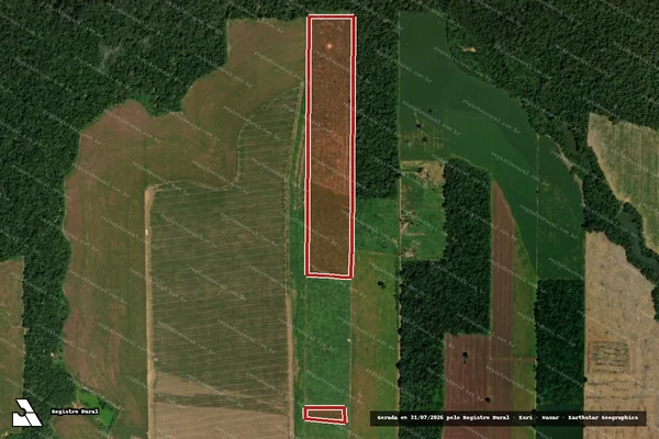 Imagem de satélite de Infração da Flora em Alto Paraíso - RO