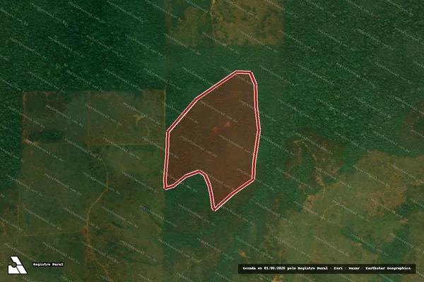 Imagem de satélite de Infração Ambiental em Apuí - AM