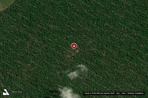 Imagem de satélite de Infração Ambiental em Santarém - PA (marcador da localização)