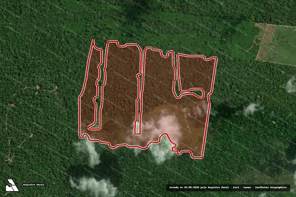 Imagem de satélite de Infração da Flora em Rorainópolis - RR