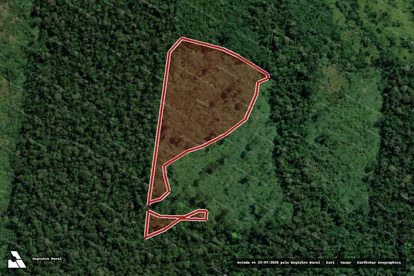 Imagem de satélite de Infração da Flora em Humaitá - AM