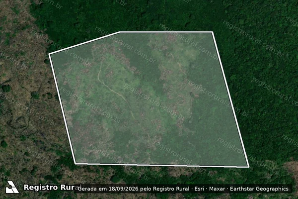 Imagem de satélite — Embargo IBAMA — Infração Ambiental - Lábrea/AM