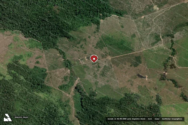 Imagem de satélite de Infração Ambiental em Novo Progresso - PA (marcador da localização)
