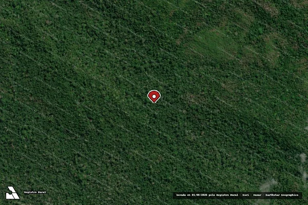 Imagem de satélite de Infração Ambiental em São Félix do Xingu - PA (marcador da localização)