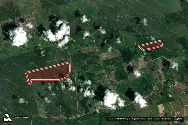 Imagem de satélite de Infração da Flora em Novo Progresso - PA