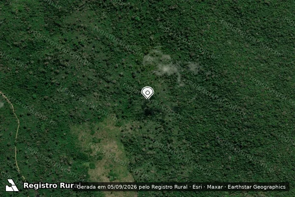 Imagem de satélite de Infração da Flora em Itaituba - PA (marcador da localização)