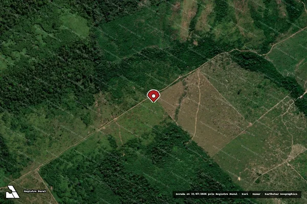 Imagem de satélite de Infração Ambiental em Apuí - AM (marcador da localização)