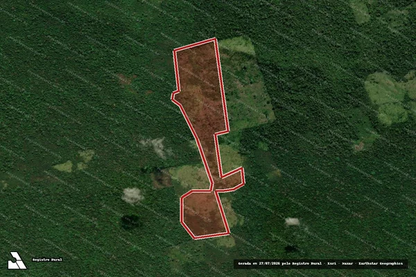 Imagem de satélite de Infração Ambiental em São Félix do Xingu - PA
