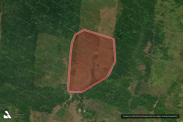 Imagem de satélite de Infração Ambiental em Rorainópolis - RR