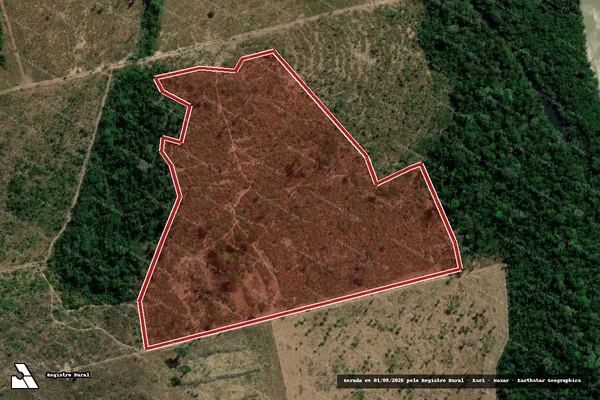 Imagem de satélite de Infração da Flora em Altamira - PA