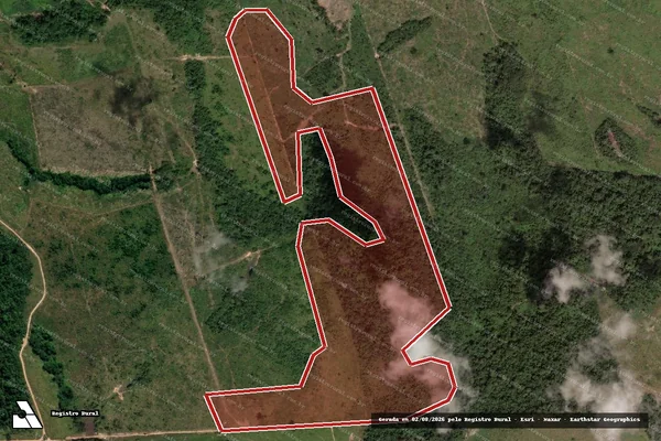Imagem de satélite de Infração Ambiental em Novo Progresso - PA