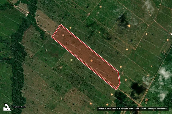 Imagem de satélite de Desmatamento em Porto Velho - RO