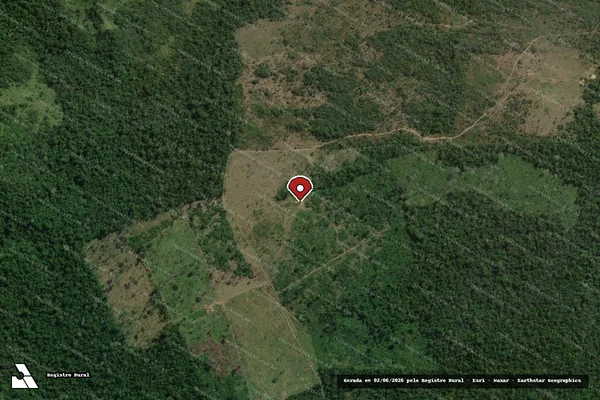 Imagem de satélite — Embargo IBAMA — Infração da Flora - São Félix do Xingu/PA