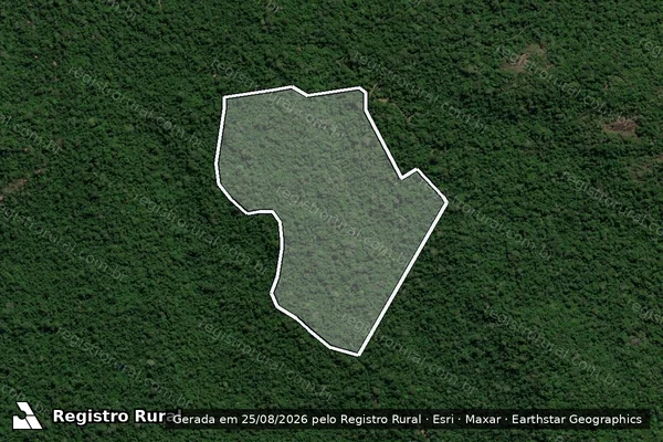 Imagem de satélite de Infração Ambiental em Itaituba - PA