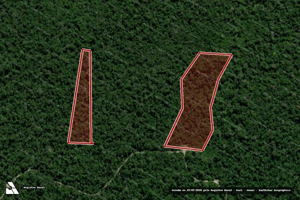 Imagem de satélite de Infração da Flora em Moju - PA