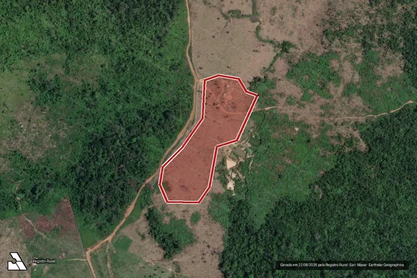 Imagem de satélite de Infração da Flora em Altamira - PA