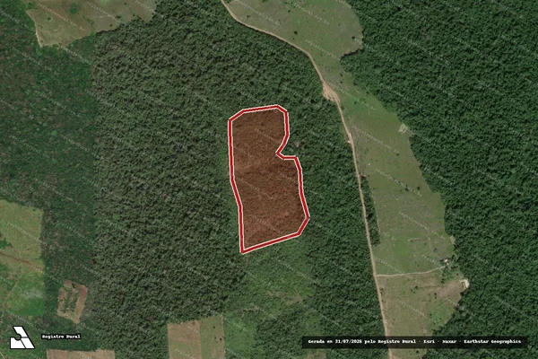 Imagem de satélite de Infração Ambiental em Cantá - RR
