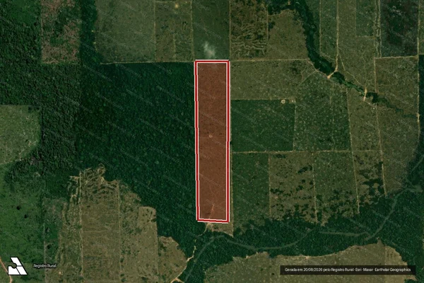 Imagem de satélite de Infração da Flora em Porto Velho - RO