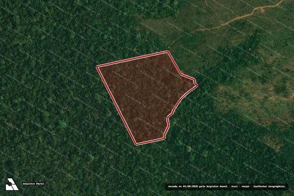 Imagem de satélite de Infração da Flora em Itaituba - PA